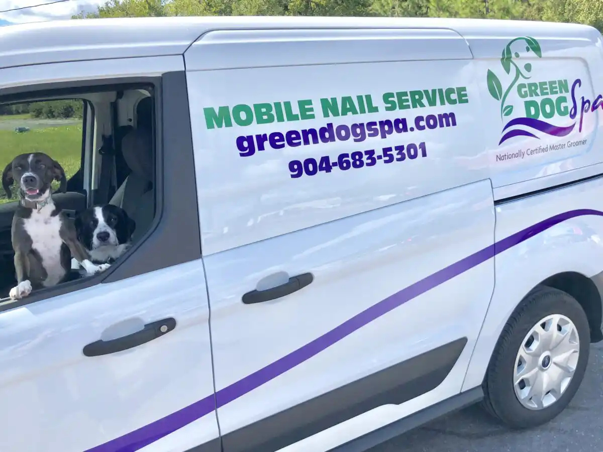 Two happy dogs sitting in the front seat of the Green Dog Spa mobile Nail Service Van