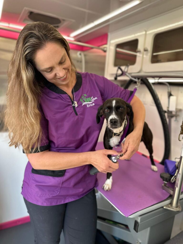 Green Dog Spa owner Erica files down the nails of a happy dog in the Green Dog Mobile Spa